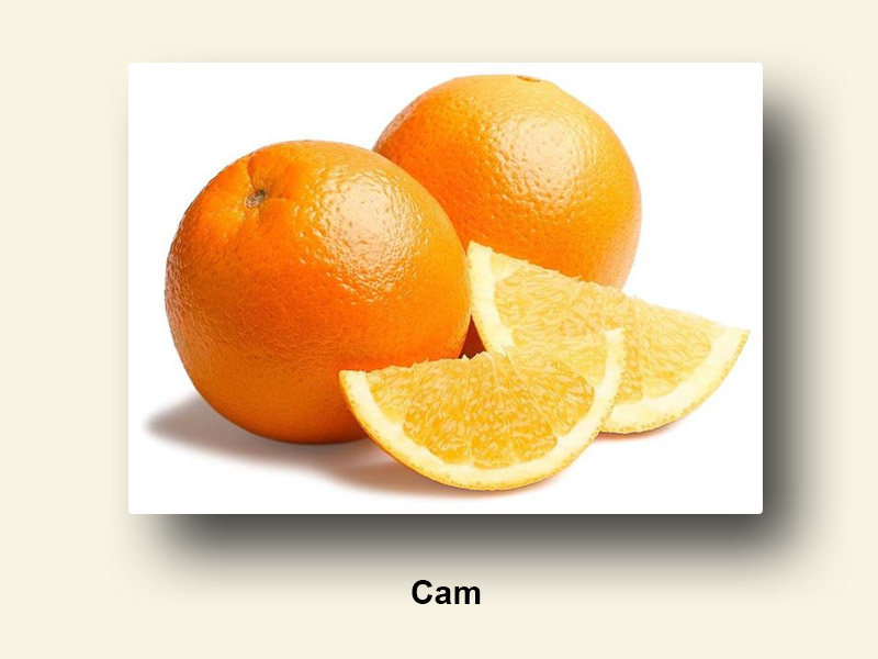 Cam