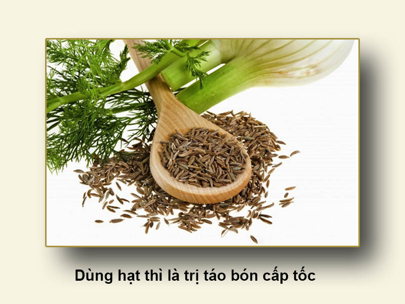 Dùng hạt thì là trị táo bón cấp tốc