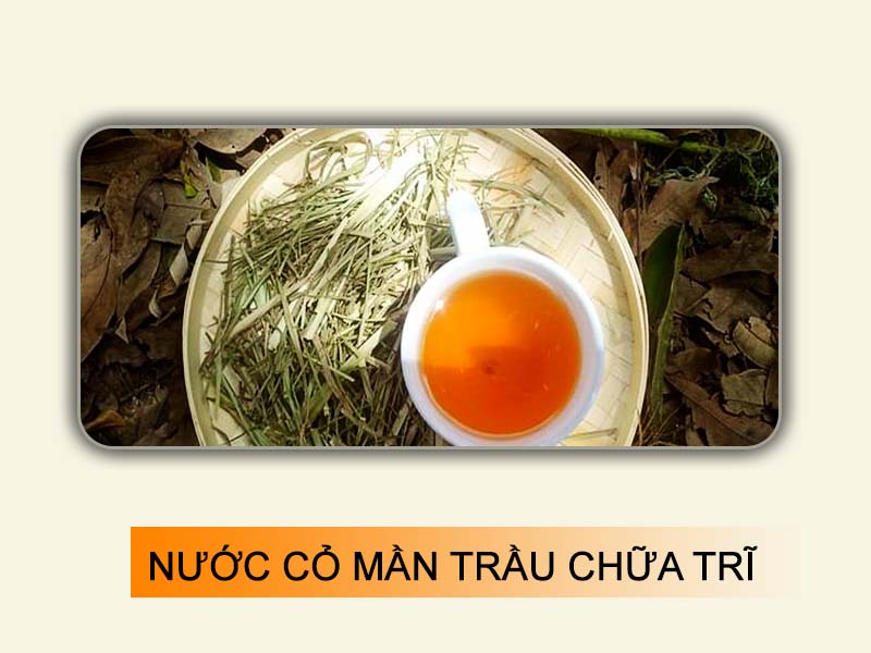 Nước cỏ mần trầu chữa bệnh trĩ