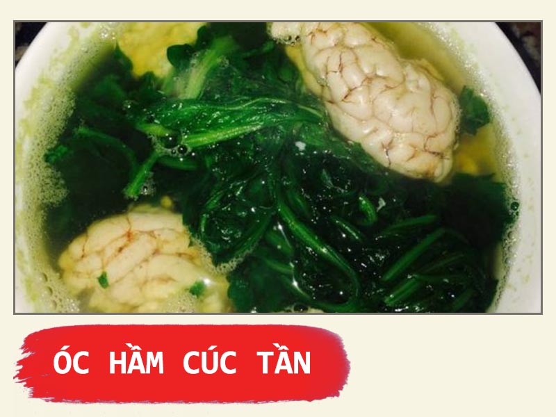 Óc hầm cúc tần