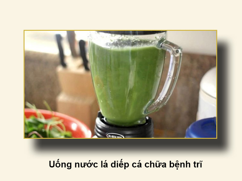 Uống nước lá diếp cá chữa bệnh trĩ