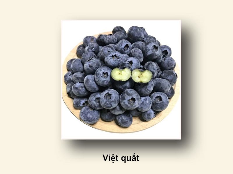 Việt quất