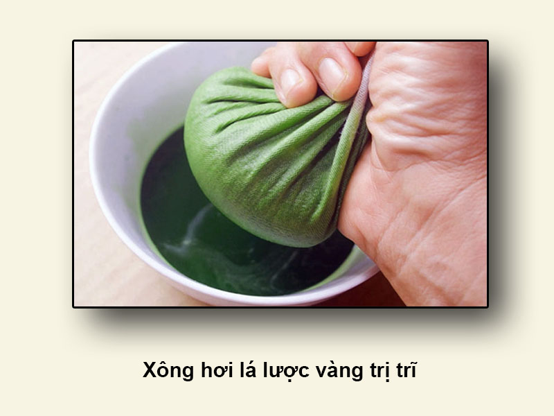 Xông hơi lá lược vàng trị trĩ