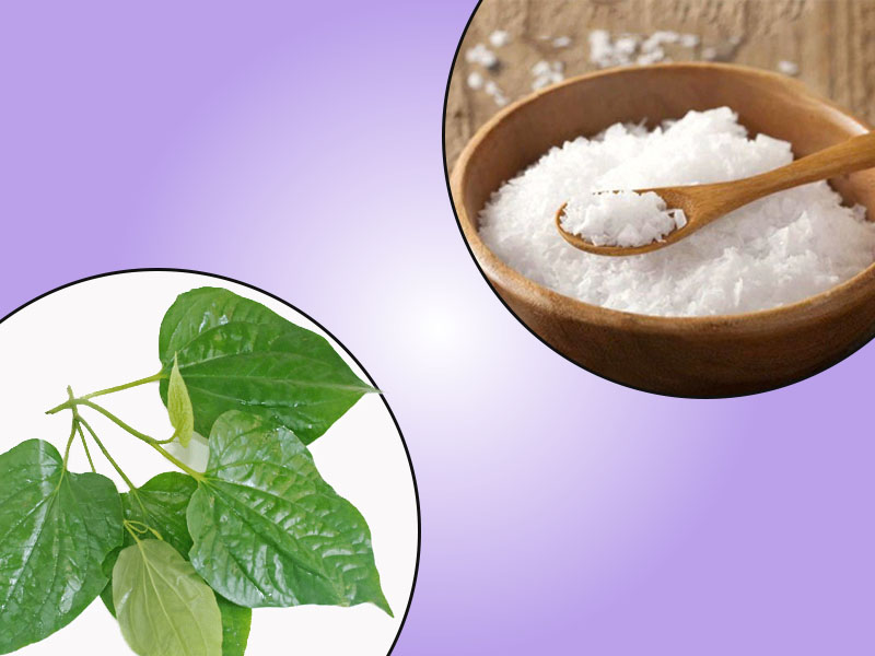 Chữa trĩ bằng lá lốt và muối biển
