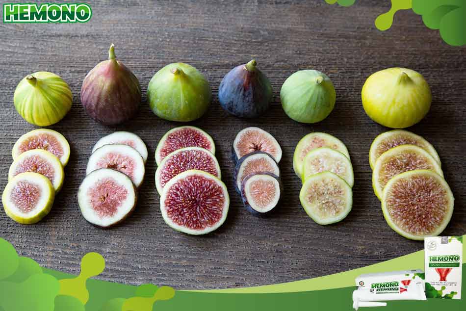 Tại sao quả sung có tác dụng chữa bệnh trĩ?