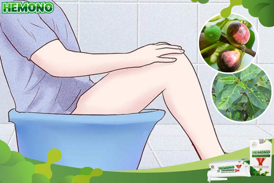 Kinh nghiệm xông hậu môn bằng quả sung và lá sung