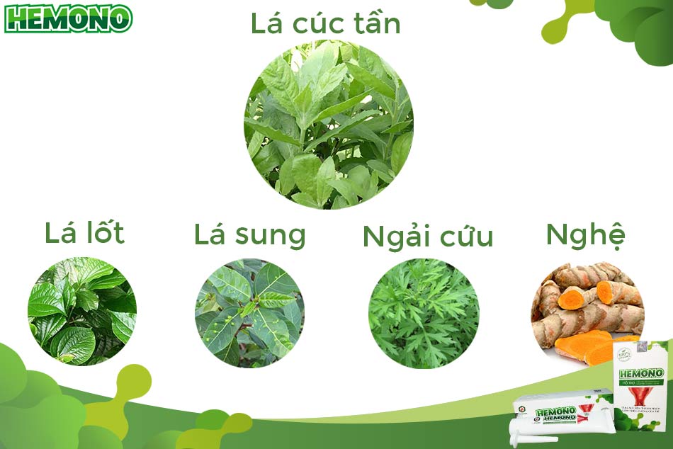 Bài thuốc chữa bệnh trĩ bằng lá cúc tần