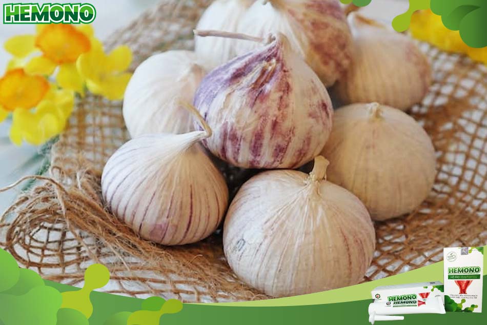 Phương pháp trị bệnh trĩ bằng tỏi