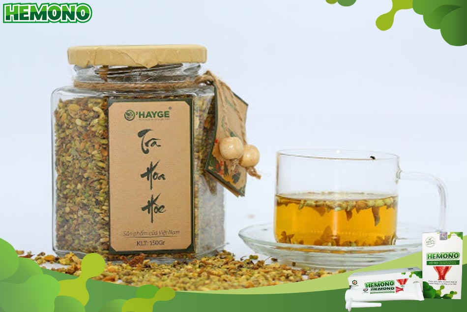 Trà hoa hòe chữa trĩ