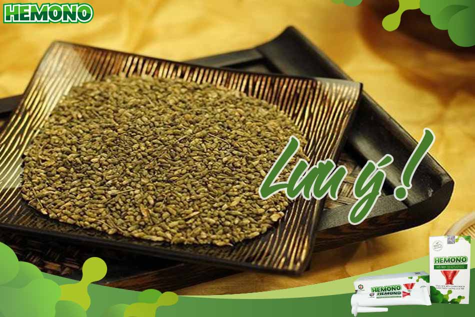 Một số lưu ý khi dùng hoa hòe chữa trĩ