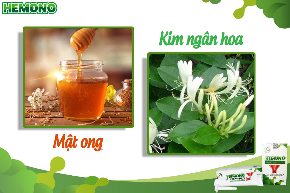 Phương pháp cải thiện bệnh trĩ bằng mật ong và kim ngân hoa