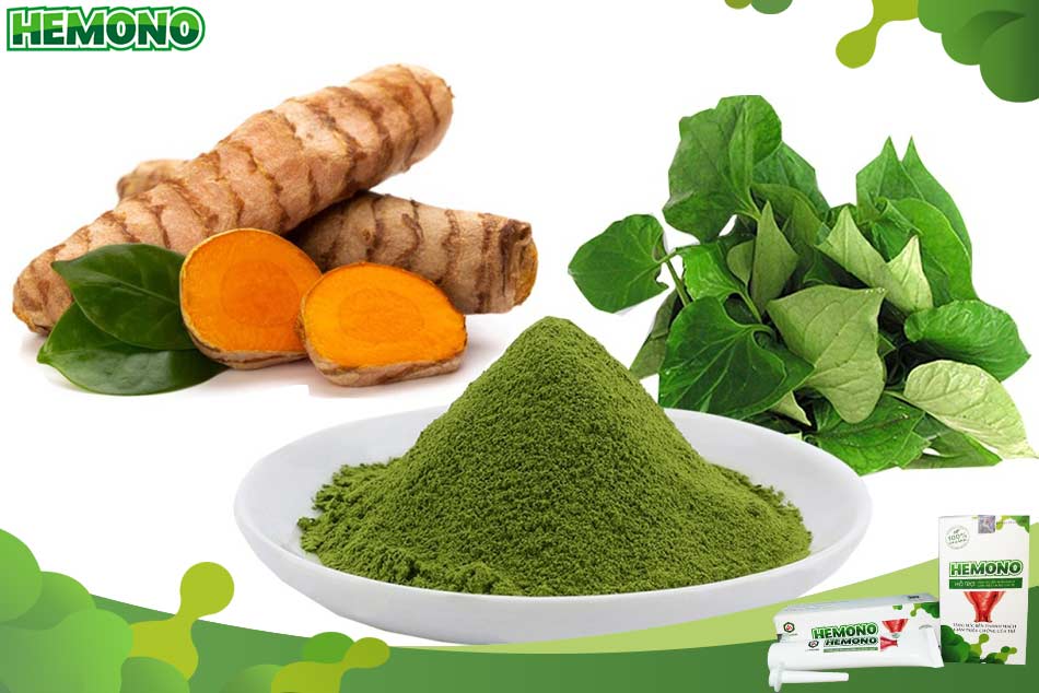 Nghệ tươi kết hợp với lá diếp cá chữa trĩ