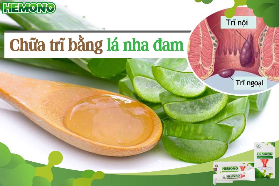 Chữa trĩ bằng lá nha đam