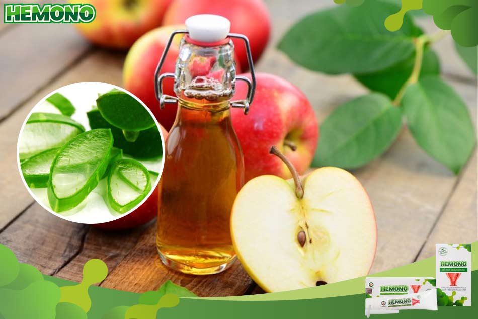 Chữa trĩ bằng lá nha đam và giấm táo