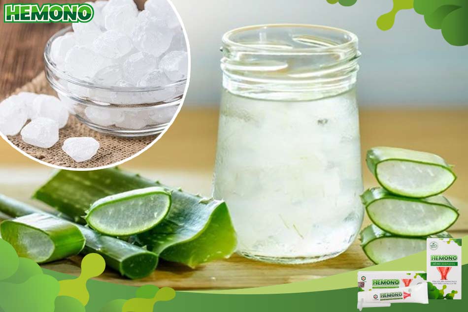 Chữa trĩ bằng lá nha đam và đường phèn