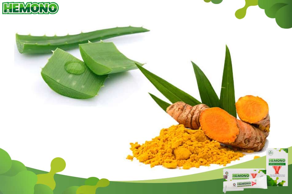 Kết hợp nghệ và nha đam để chữa trĩ