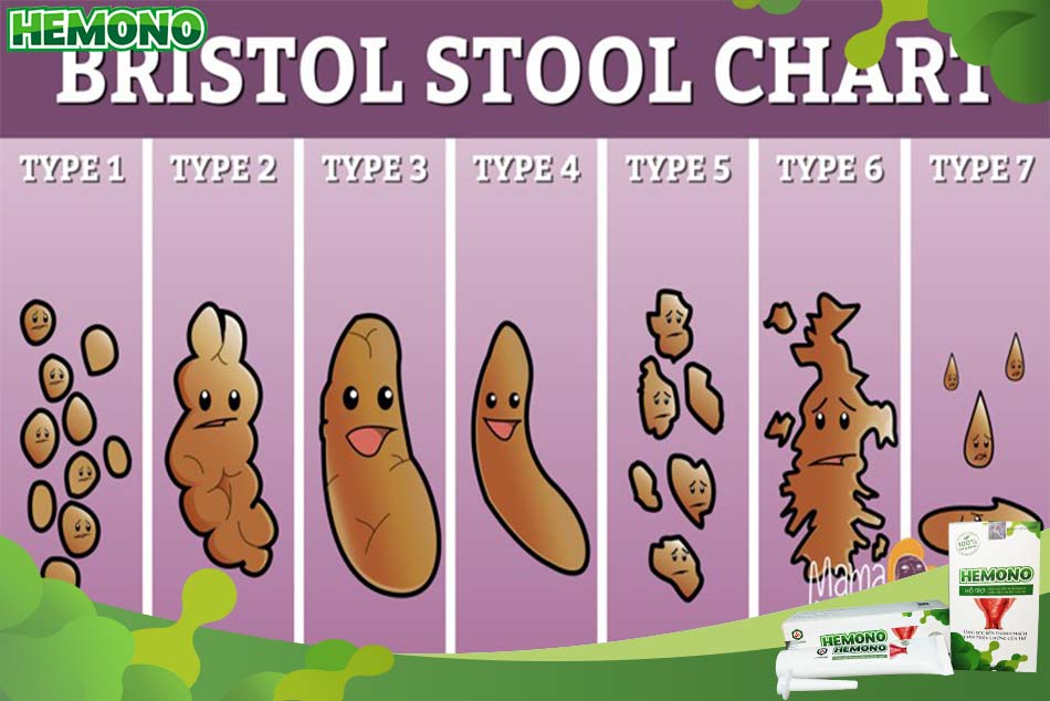 7 hình dáng của phân theo Bristol