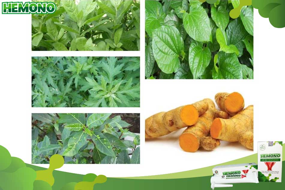 Cách khắc phục khi đi cầu ra máu tươi