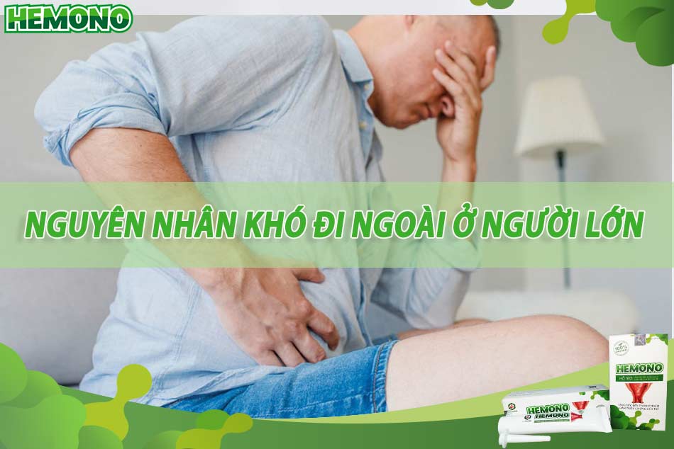 Nguyên nhân gây khó đi ngoài ở người lớn