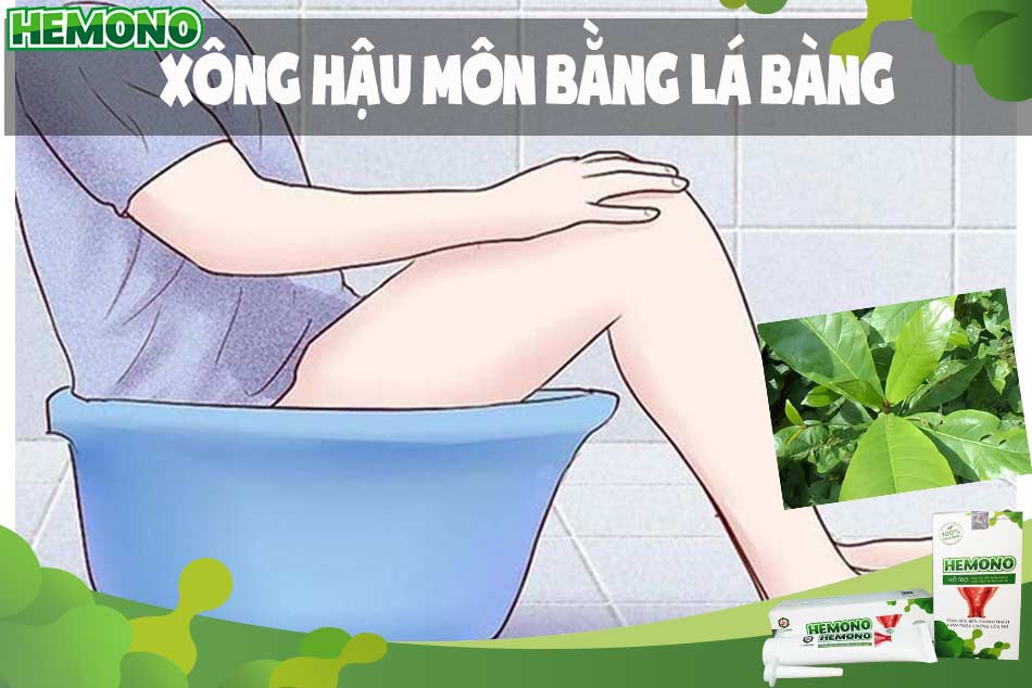 Xông hậu môn bằng lá bàng để chữa bệnh trĩ