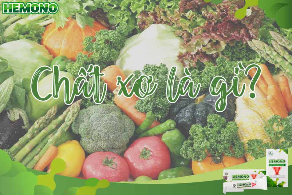 Chất xơ (Fiber) là gì?