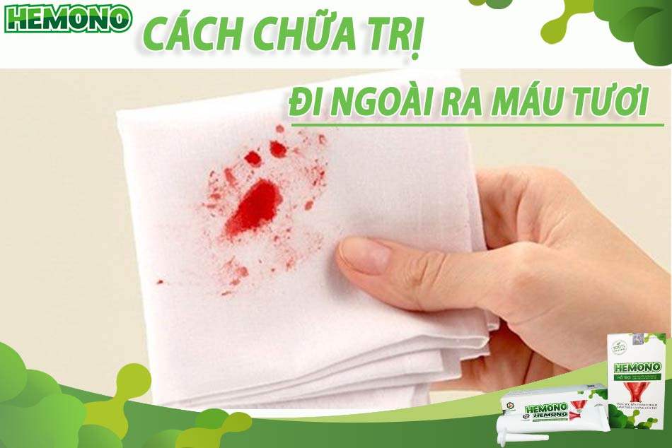 Cách chữa trị đi ngoài ra máu tươi bằng cây thuốc nam