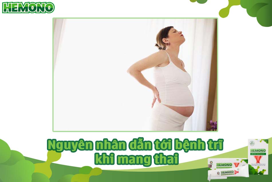Nguyên nhân dẫn tới tình trạng trĩ khi mang thai