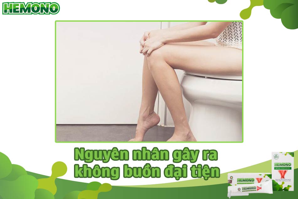 Nguyên nhân gây ra không buồn đi đại tiện lâu ngày