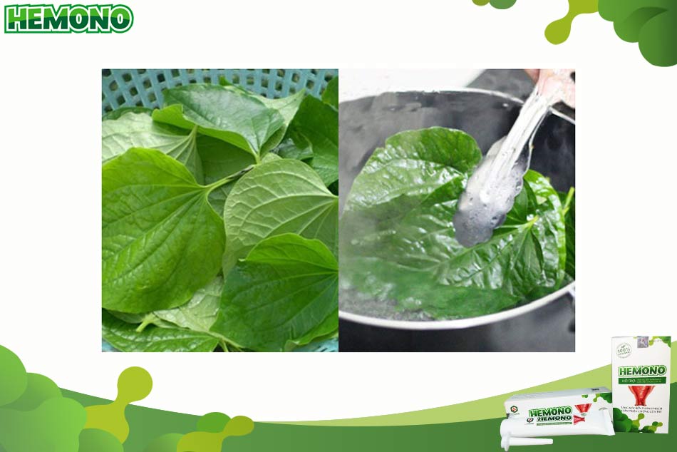 Chữa trĩ cho bà bầu tại nhà bằng lá trầu không