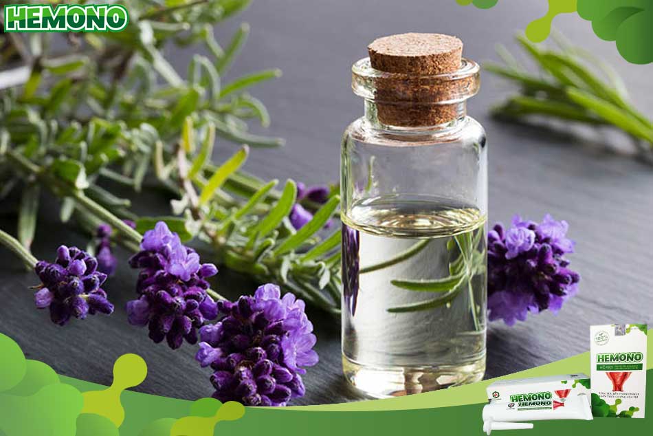 Chấm dứt bệnh nứt kẽ hậu môn với tinh dầu oải hương