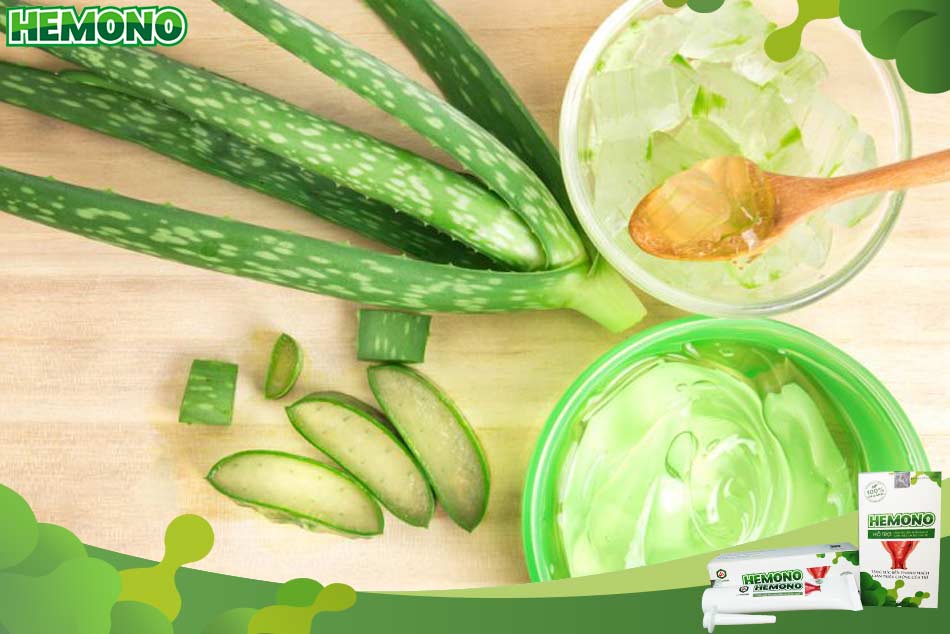 Cách sử dụng nha đam trị bệnh nứt kẽ hậu môn