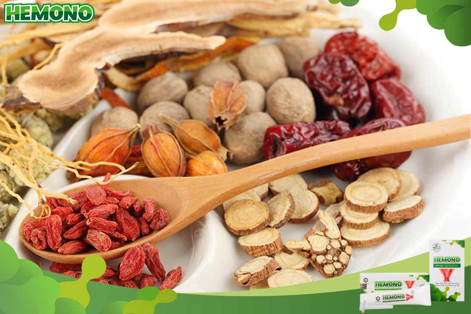 Bài thuốc Đông chữa khí trệ huyết ứ