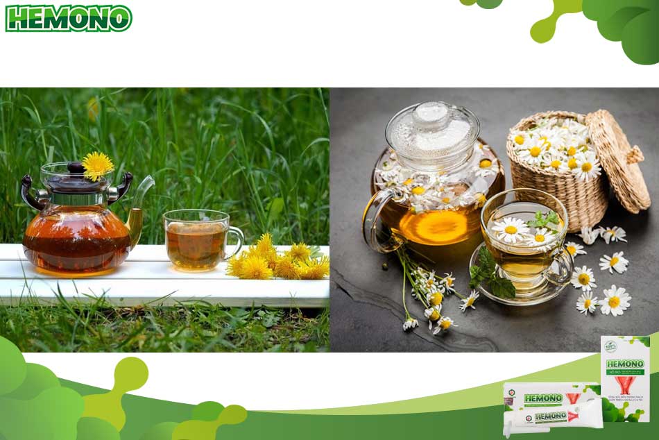 Trà bồ công anh và trà hoa cúc giúp giảm táo bón ở bàu bầu hiệu quả