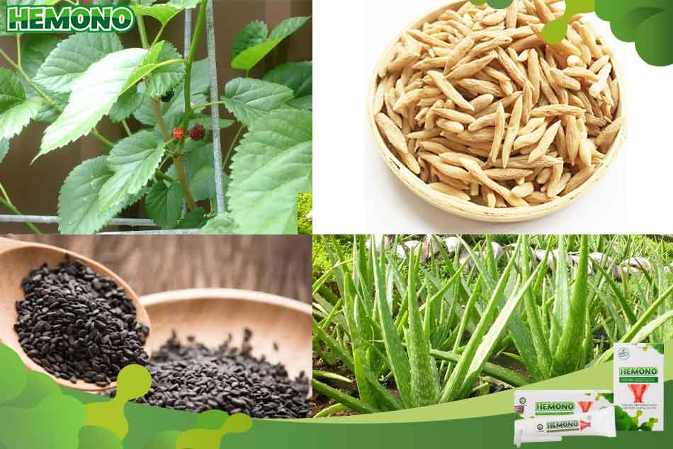 Một số vị thuốc khác chữa táo bón cho phụ nữ sau sinh