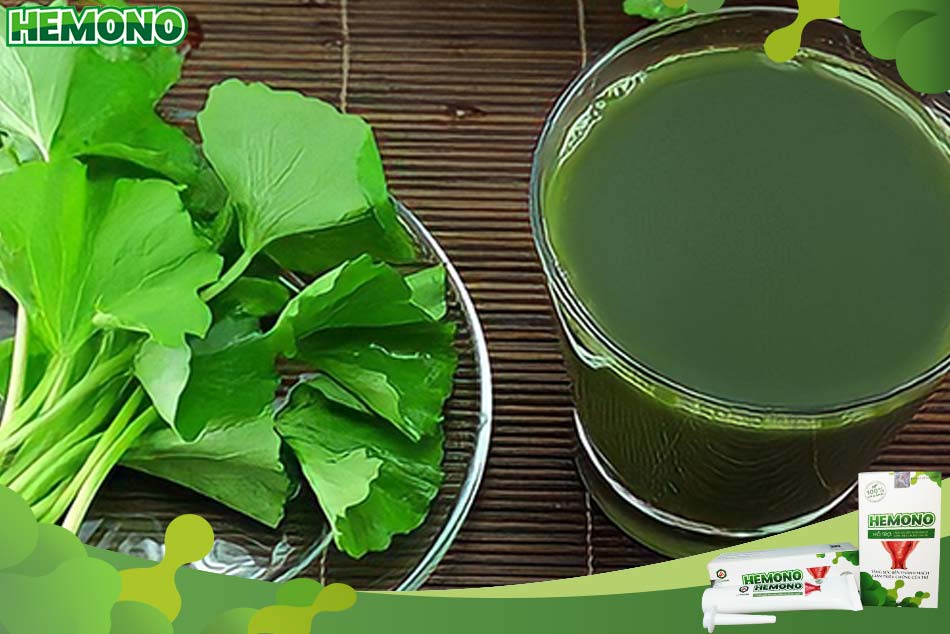 Dùng rau diếp cá giúp chữa u nhú