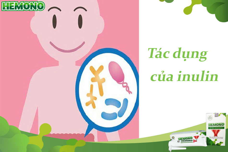 tác dụng của inulin