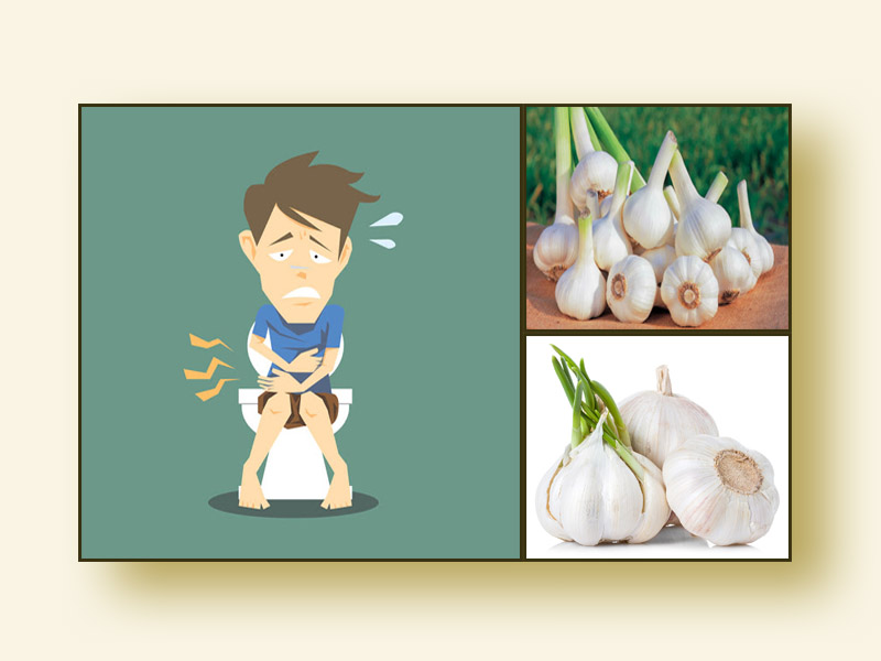 Chữa trĩ bằng tỏi