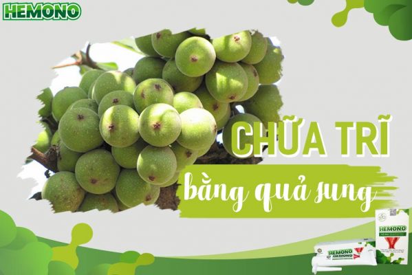 Cách chữa bệnh trĩ bằng quả sung