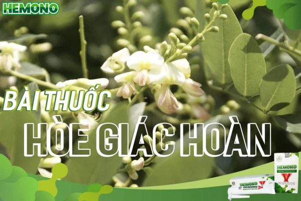 Bài thuốc Hòe giác hoàn