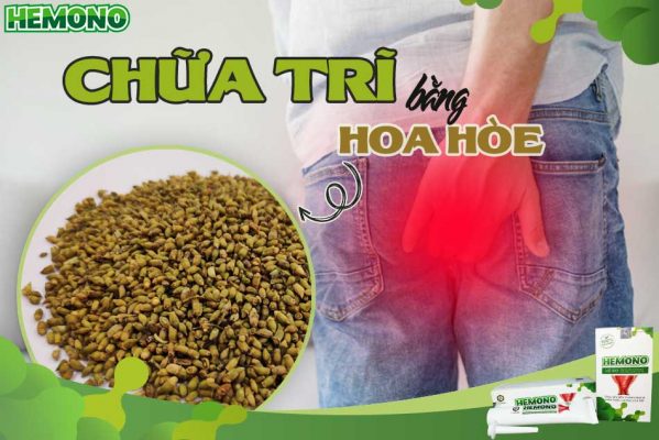 Tác dụng của hoa hòe trong việc chữa trĩ