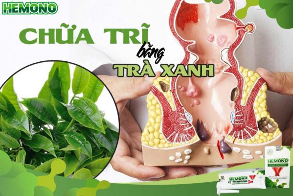 Tác dụng của trà xanh trong việc chữa trĩ