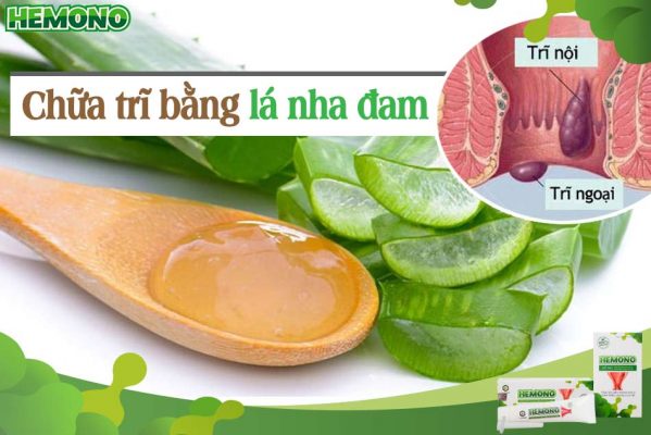 Chữa trĩ bằng lá nha đam