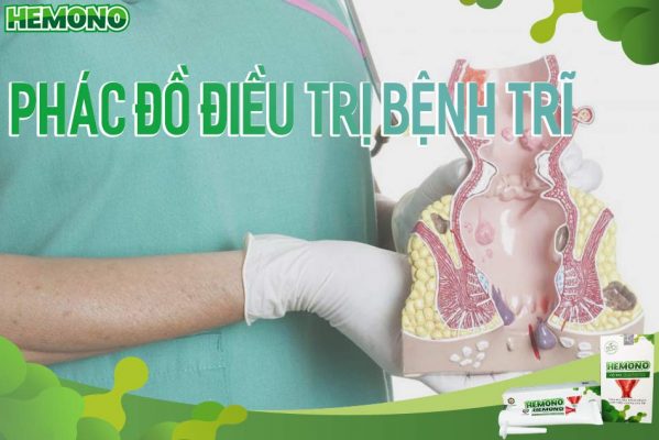 Phác đồ điều trị bệnh trĩ
