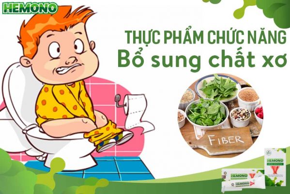Thực phẩm chức năng bổ sung chất xơ là gì? Các loại sản phẩm tốt nhất hiện nay