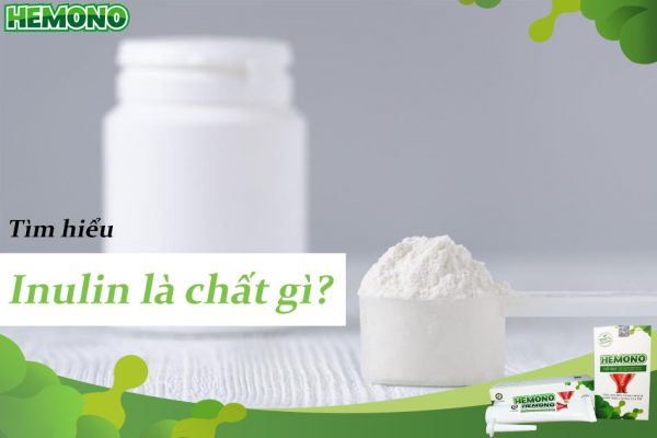 Inulin là chất gì